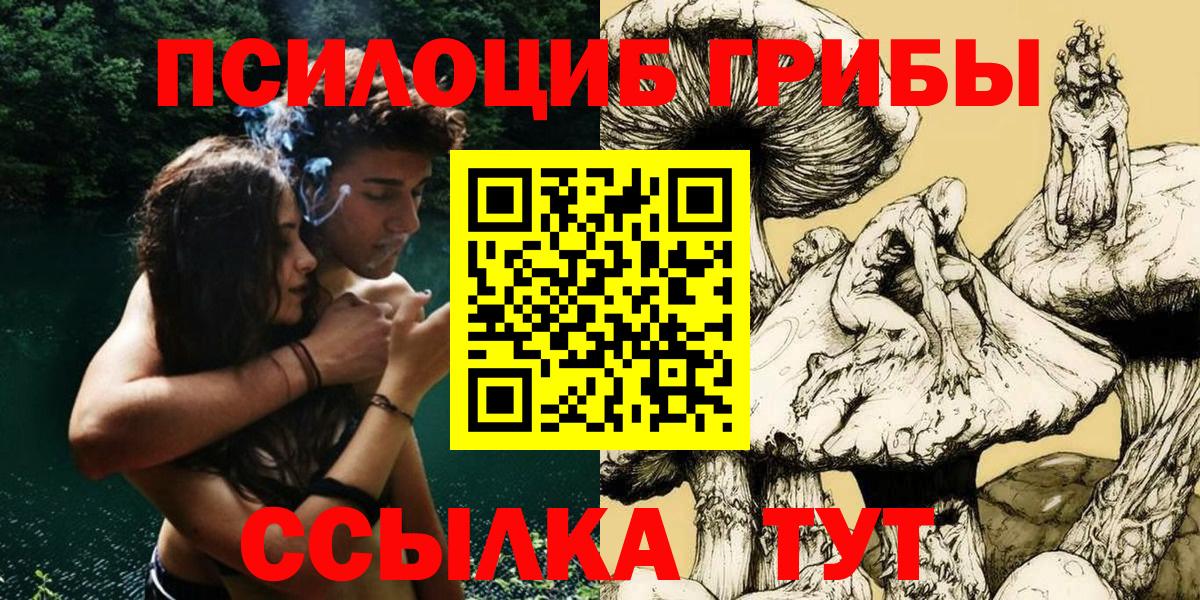Галлюциногенные грибы Magic Shrooms  Вход с VPN  Галлюциногенные грибы Cubensis  Тара 