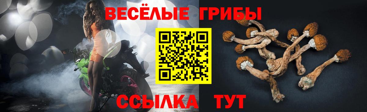 Галлюциногенные грибы Cubensis Тара